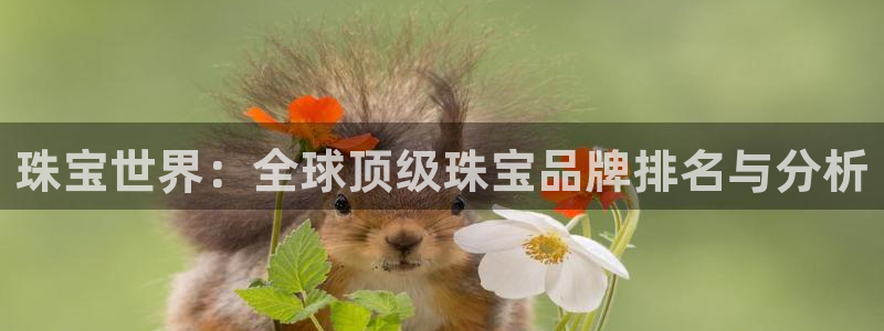 新宝5秒开：珠宝世界：全球顶级珠宝品牌排名与分析