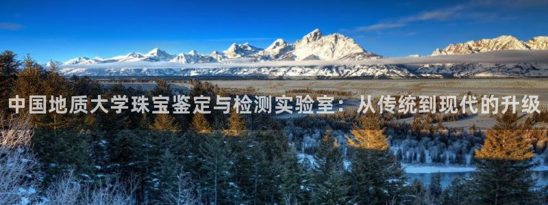 新宝5登录霸：中国地质大学珠宝鉴定与检测实验室：从传统到现代的升级