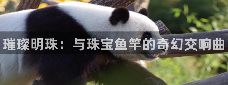 新宝5登录：璀璨明珠：与珠宝鱼竿的奇幻交响曲