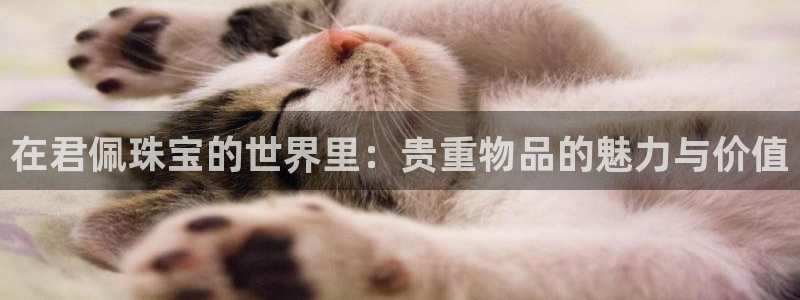 新宝5上70 667：在君佩珠宝的世界里：贵重物品的魅力与价值