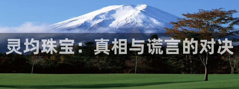 新宝5公司：灵均珠宝：真相与谎言的对决