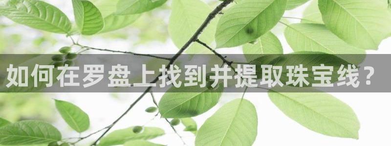 新宝5内部：如何在罗盘上找到并提取珠宝线？