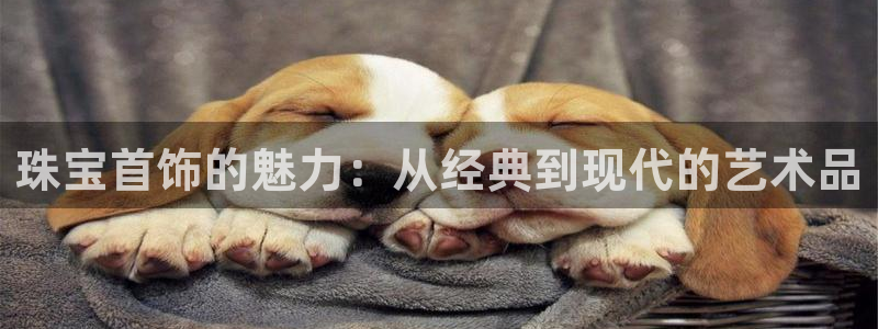 新宝5娱乐学：珠宝首饰的魅力：从经典到现代的艺术品