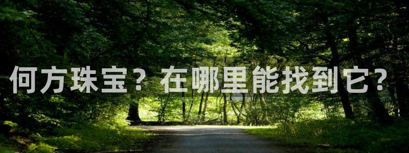 新宝5 测速：何方珠宝？在哪里能找到它？