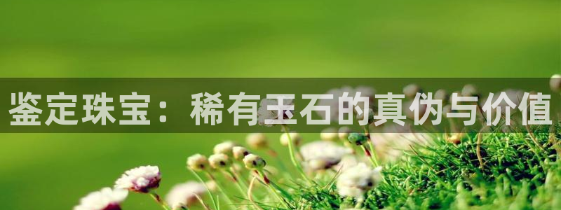 新宝5得74OOO5：鉴定珠宝：稀有玉石的真伪与价值