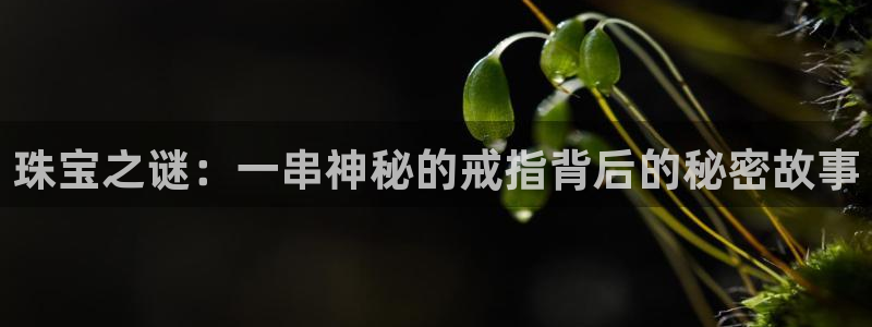 新宝5客户端登录：珠宝之谜：一串神秘的戒指背后的秘密故事