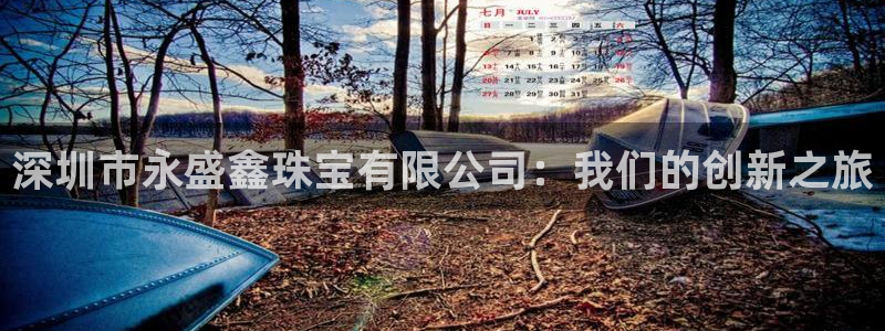 新宝5授权：深圳市永盛鑫珠宝有限公司：我们的创新之旅