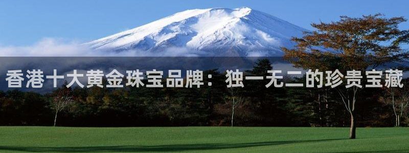 新宝5直属：香港十大黄金珠宝品牌：独一无二的珍贵宝藏