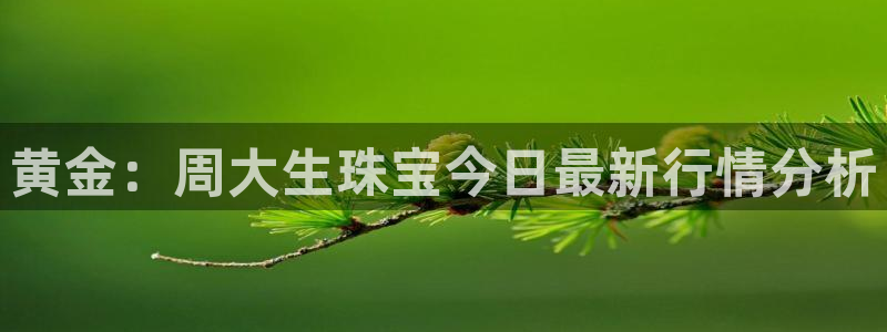 新宝注5册：黄金：周大生珠宝今日最新行情分析