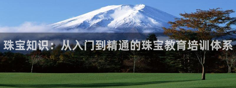 新宝5如何注册：珠宝知识：从入门到精通的珠宝教育培训体系