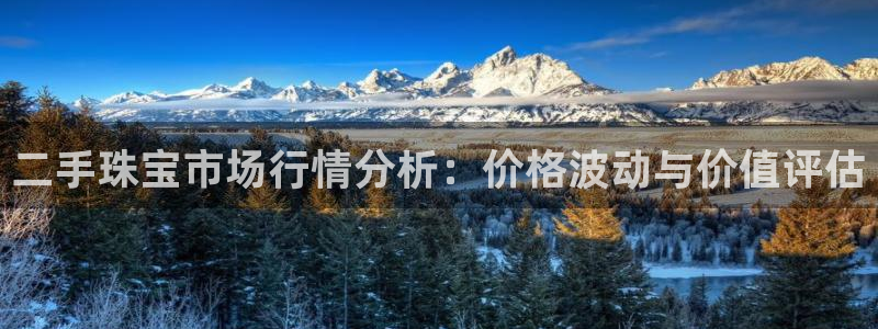 新宝5娱乐网址：二手珠宝市场行情分析：价格波动与价值评估
