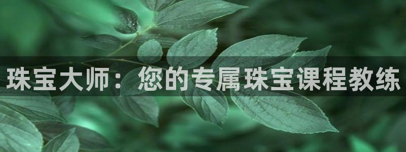 新宝注5册：珠宝大师：您的专属珠宝课程教练