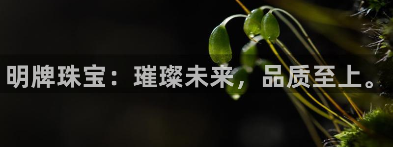 新宝5黑彩：明牌珠宝：璀璨未来，品质至上。