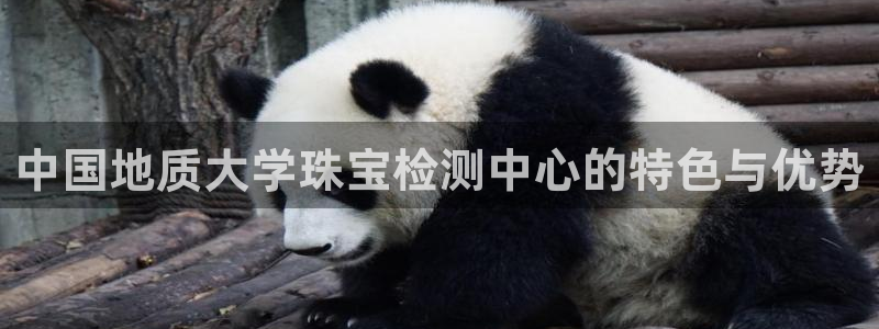 新宝5下载软件：中国地质大学珠宝检测中心的特色与优势