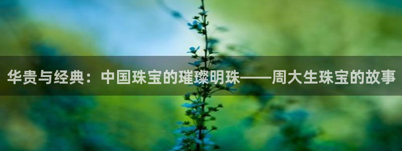 新宝股东瞧听2 5 5：华贵与经典：中国珠宝的璀璨明珠——周大生珠宝的故事