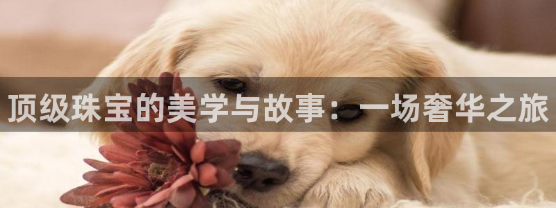 新宝5源码：顶级珠宝的美学与故事：一场奢华之旅