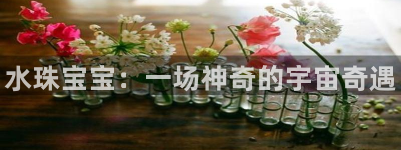 新宝5巅峰：水珠宝宝：一场神奇的宇宙奇遇