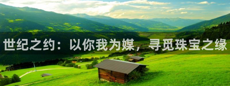 新宝5飞355051：世纪之约：以你我为媒，寻觅珠宝之缘