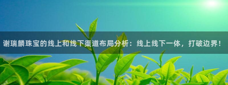 新宝5蒋7O667：谢瑞麟珠宝的线上和线下渠道布局分析：线上线下一体，打破边界！