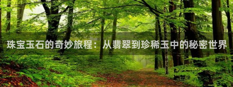新宝5吕74OOO5：珠宝玉石的奇妙旅程：从翡翠到珍稀玉中的秘密世界