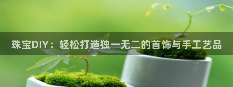 新宝5下载到桌面：珠宝DIY：轻松打造独一无二的首饰与手工艺品