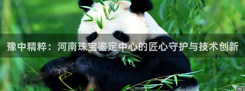 新宝5 唯一：豫中精粹：河南珠宝鉴定中心的匠心守护与技术创新