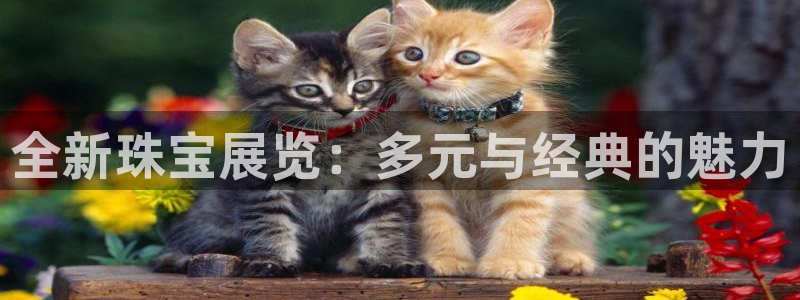 新宝5日740005蔻：全新珠宝展览：多元与经典的魅力