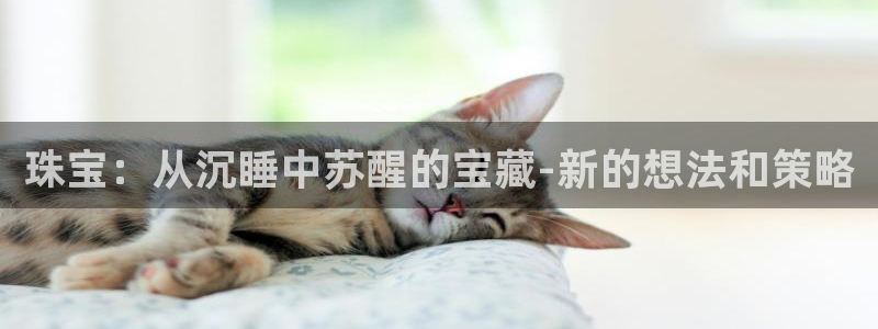 老新宝5授权登录：珠宝：从沉睡中苏醒的宝藏-新的想法和策略