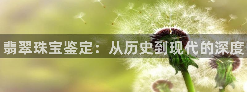 新宝5找找74OOO5：翡翠珠宝鉴定：从历史到现代的深度