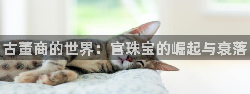 新宝5测试：古董商的世界：官珠宝的崛起与衰落