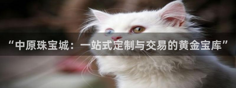 新宝5平台注册资金：“中原珠宝城：一站式定制与交易的黄金宝库”