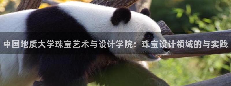 新宝娱乐5入口：中国地质大学珠宝艺术与设计学院：珠宝设计领域的与实践