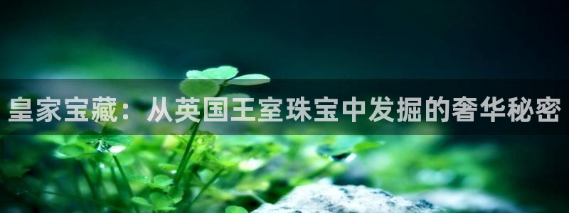 新宝5苹果手机下载：皇家宝藏：从英国王室珠宝中发掘的奢华秘密