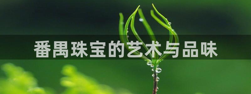 新宝股东张听2 5 5：番禺珠宝的艺术与品味